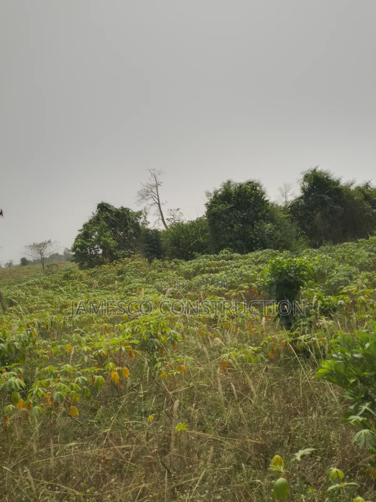 Residential Lands for Sales in Ayensuano