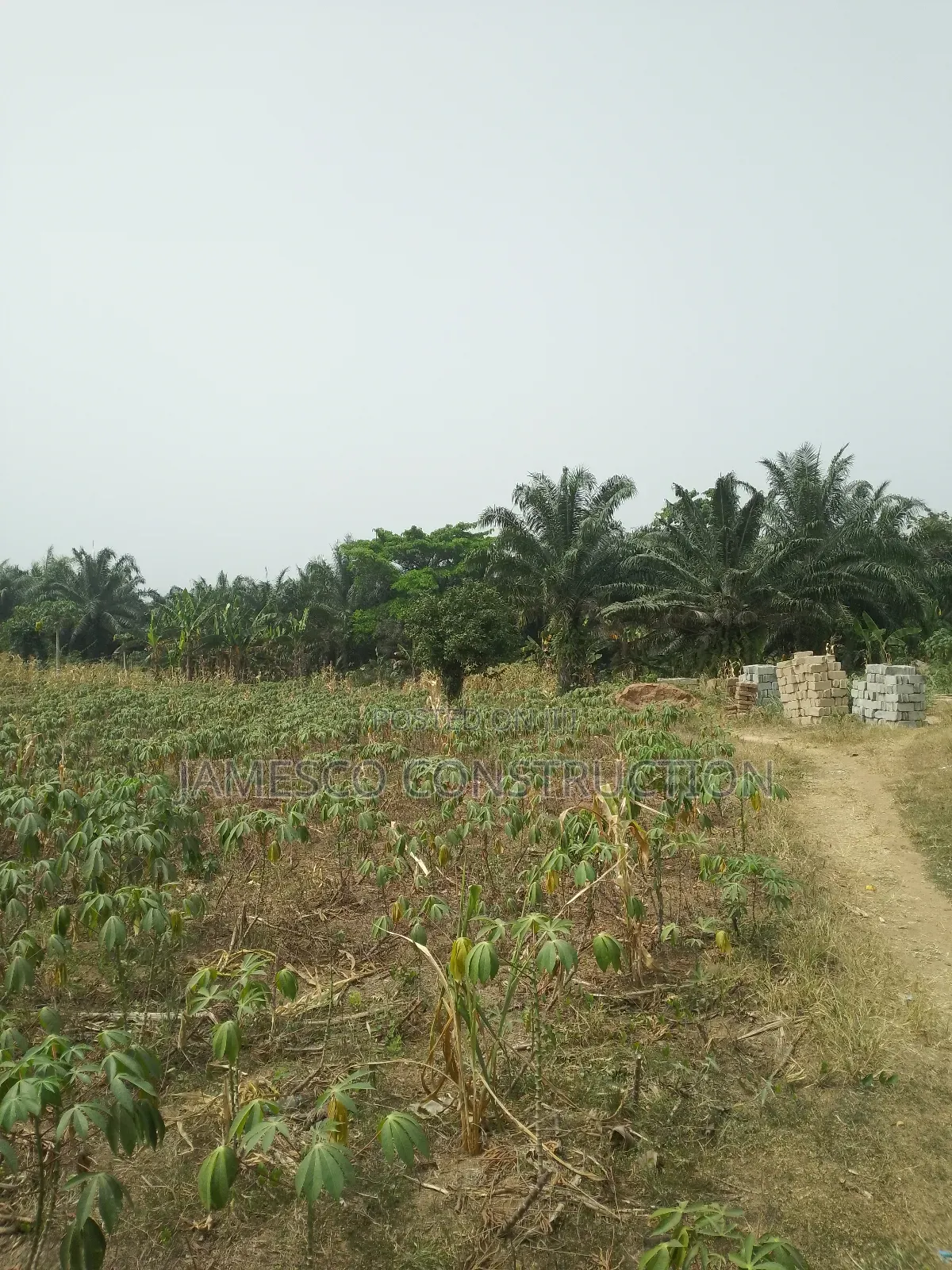 Residential Lands for Sales in Ayensuano