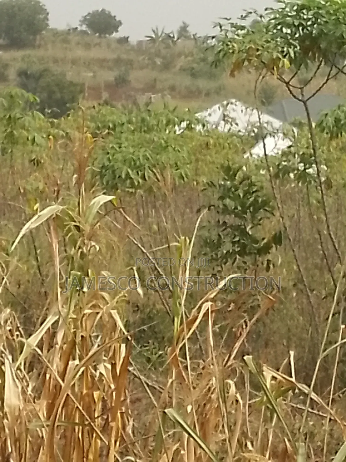 Residential Lands for Sales in Ayensuano
