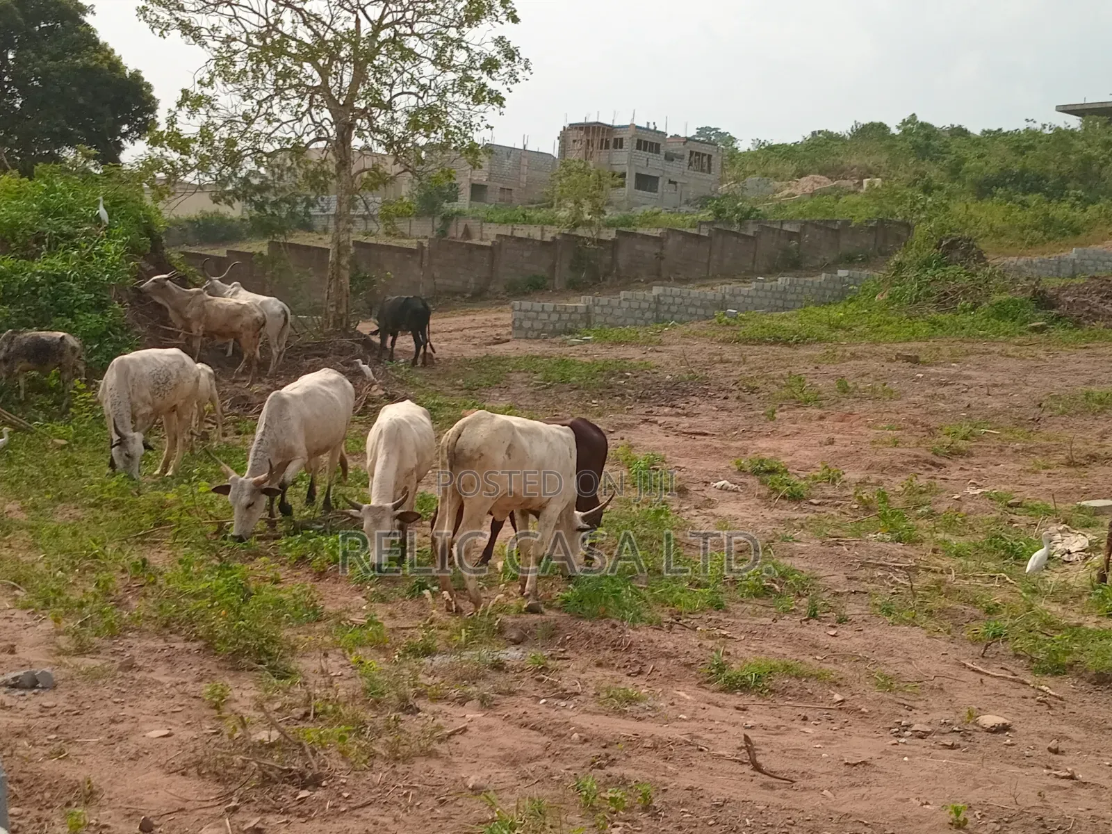Land at Kwabenya Comet Estate in Kwabenya