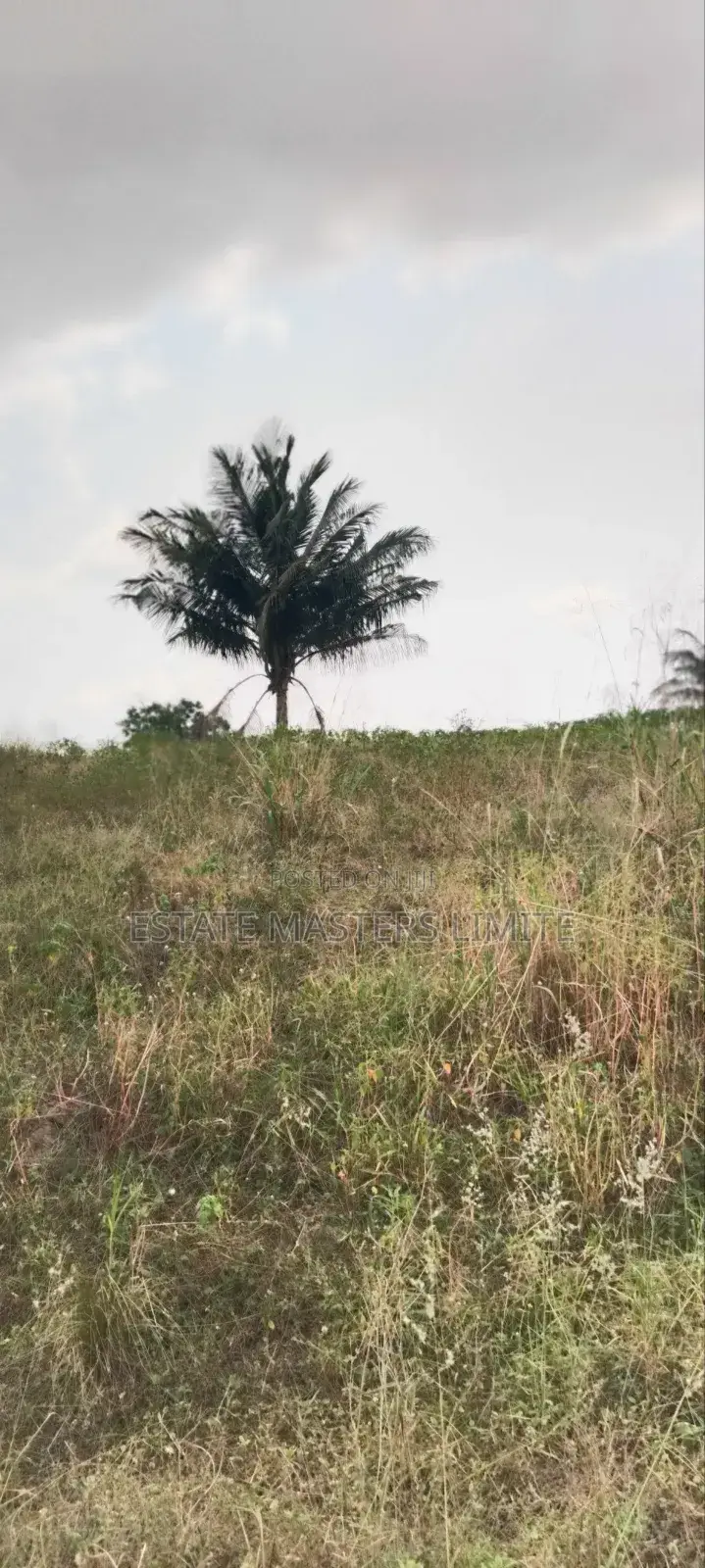 Five Acres of Lands Available for Sale in Gomoa East