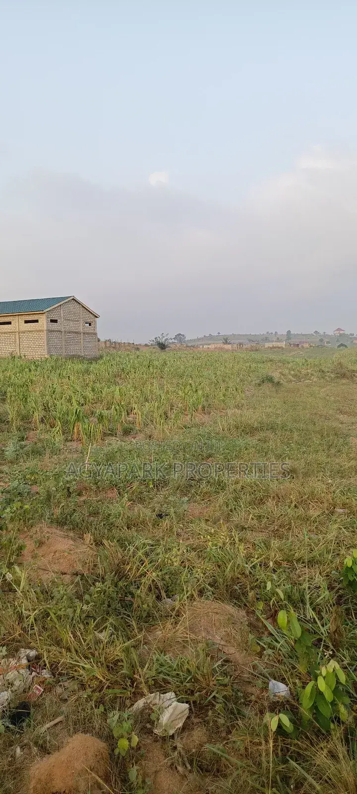 Two Plot of Land Amasaman Obom in Amasaman