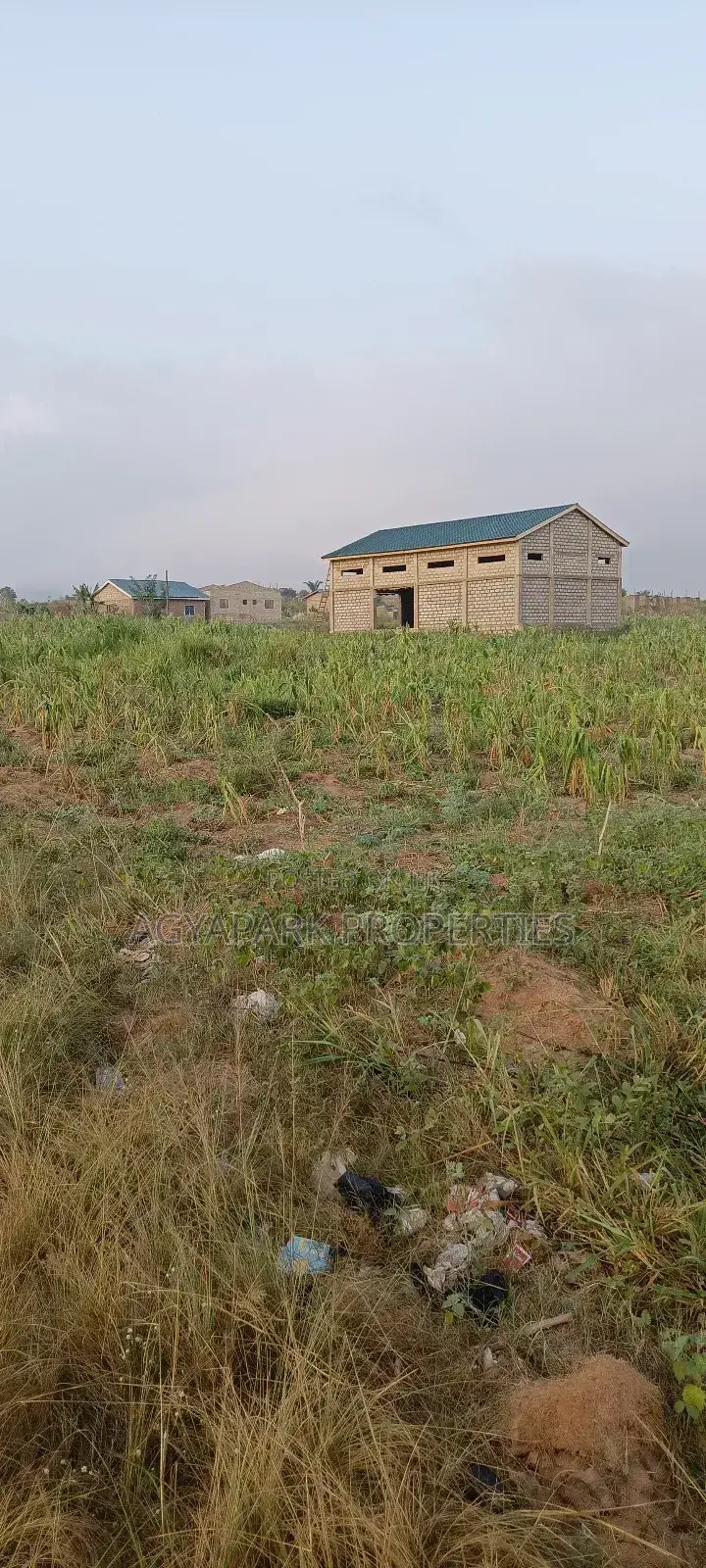 Two Plot of Land Amasaman Obom in Amasaman