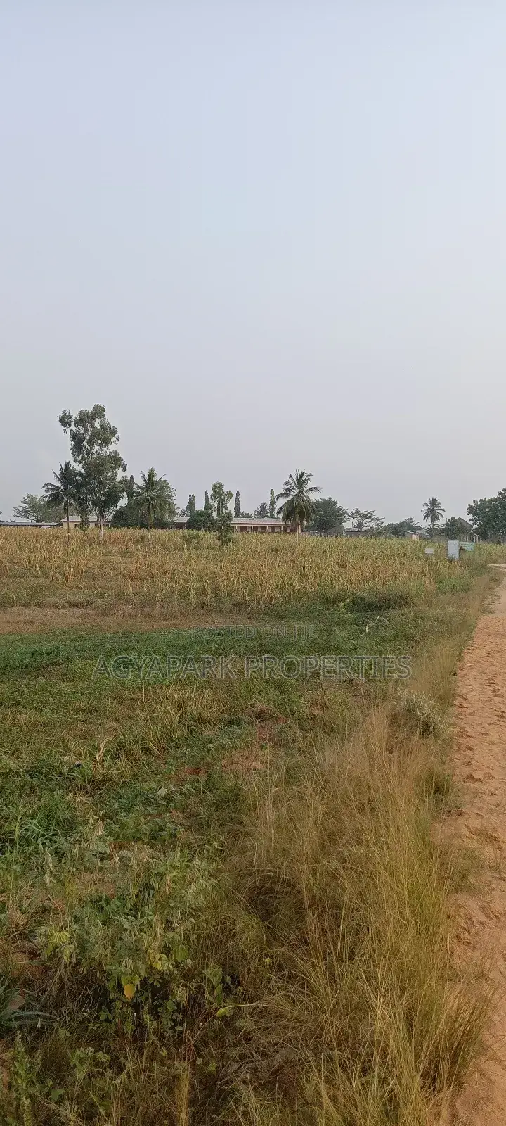 Two Plot of Land Amasaman Obom in Amasaman