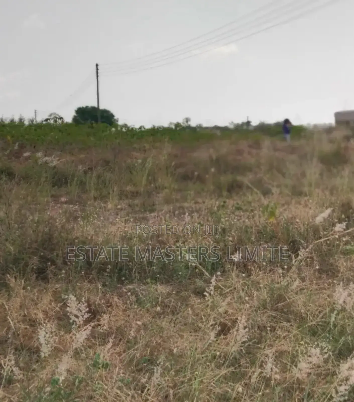 Acres of Lands Available for Sale at Dominase in Gomoa East