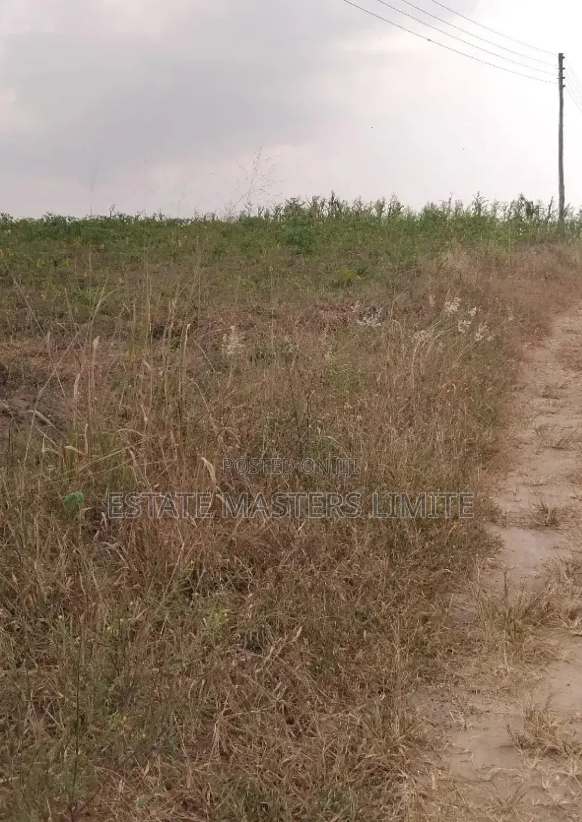 Acres of Lands Available for Sale at Dominase in Gomoa East