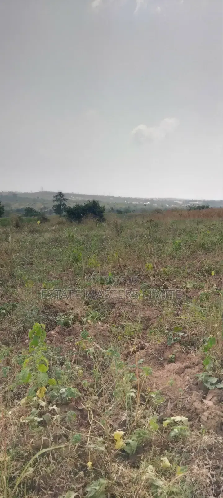 Free Zone Land for Sale in Gomoa East
