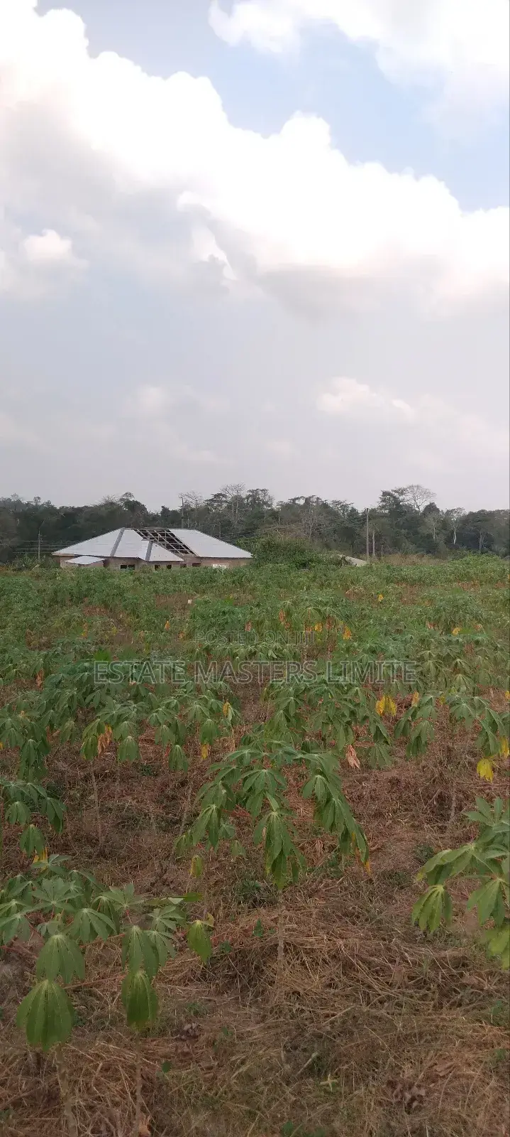 Valley View Plots of Land for Sale in Gomoa East