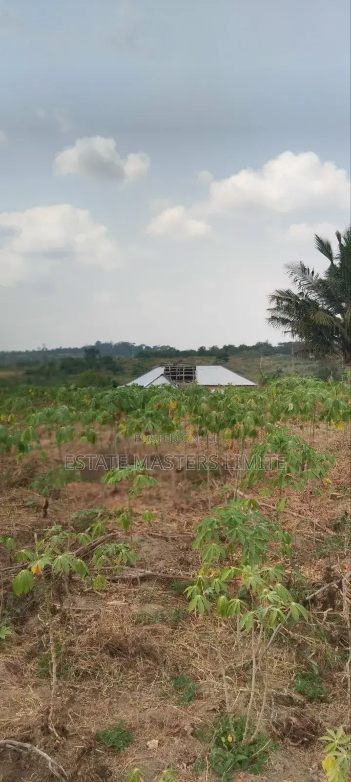 Flat Lands for Sale in Gomoa East