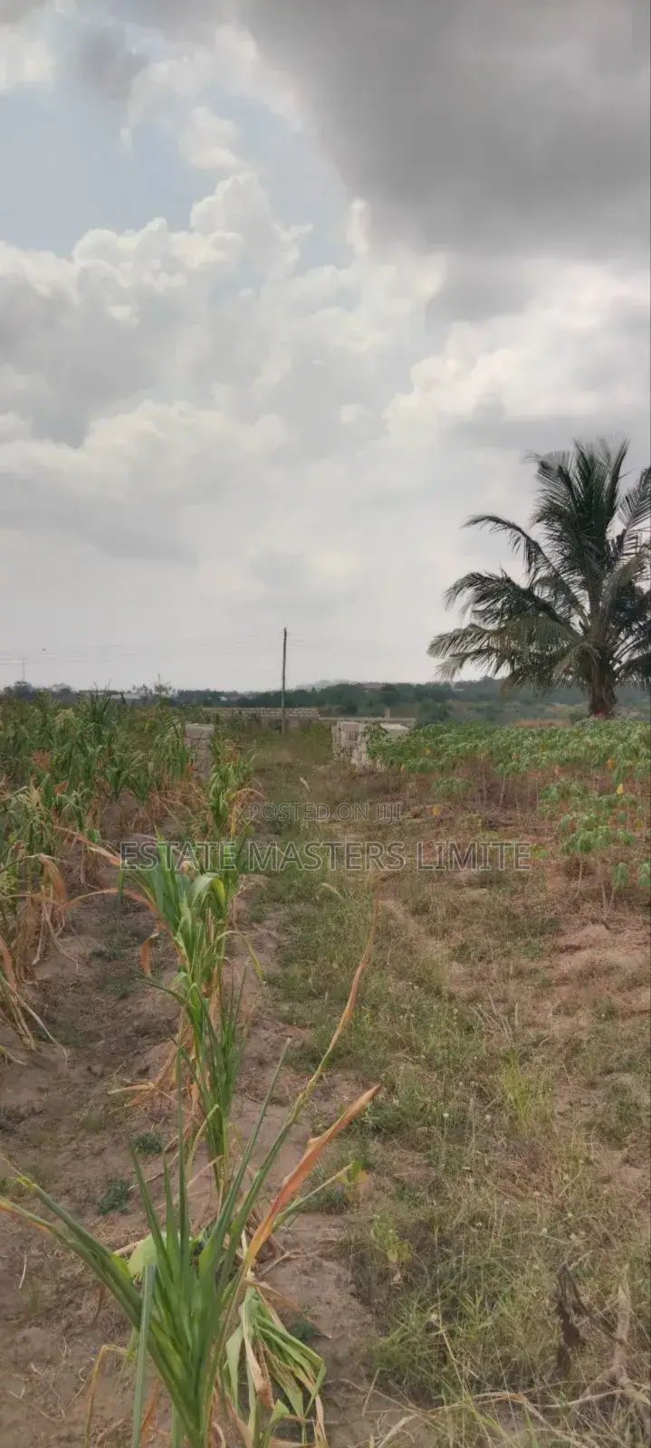 Flat Lands for Sale in Gomoa East