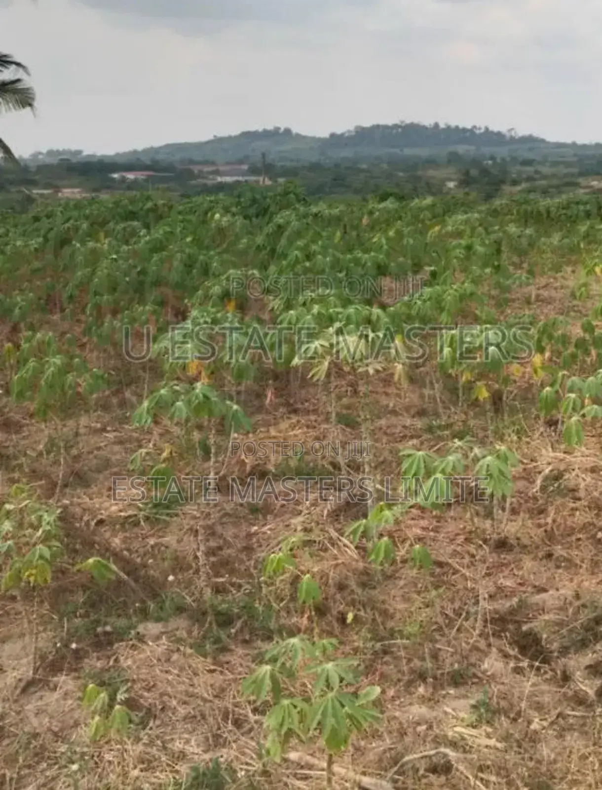 Donkomi Oo Acres if Lands for Sale at Gomoa Dominase in Gomoa East
