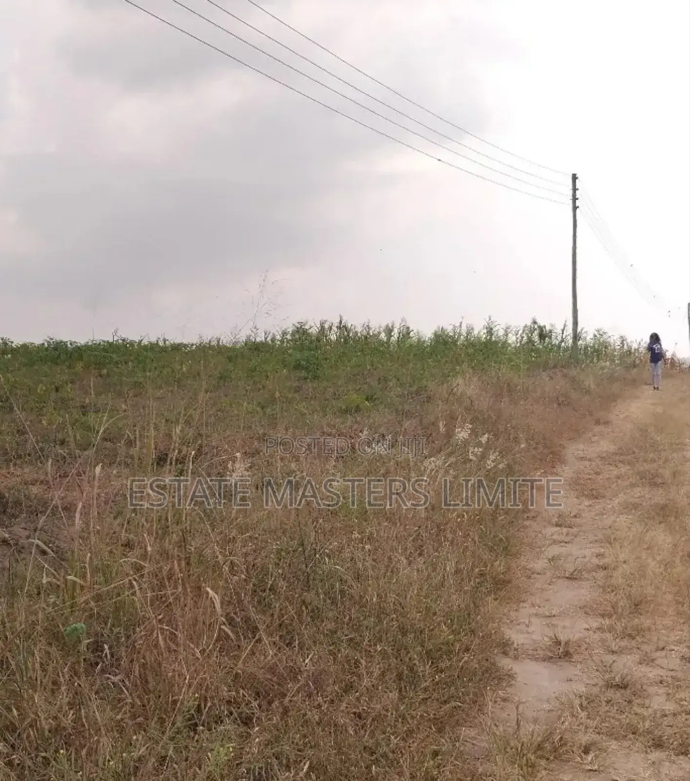 Asaase Falaa for Sale at Gomoa Dominase in Gomoa East