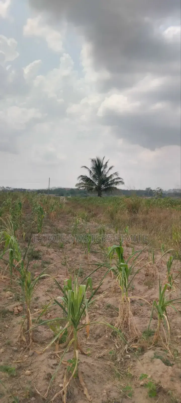 Acres of Asaase Available for Sale at Gomoa East Dominase in Gomoa East