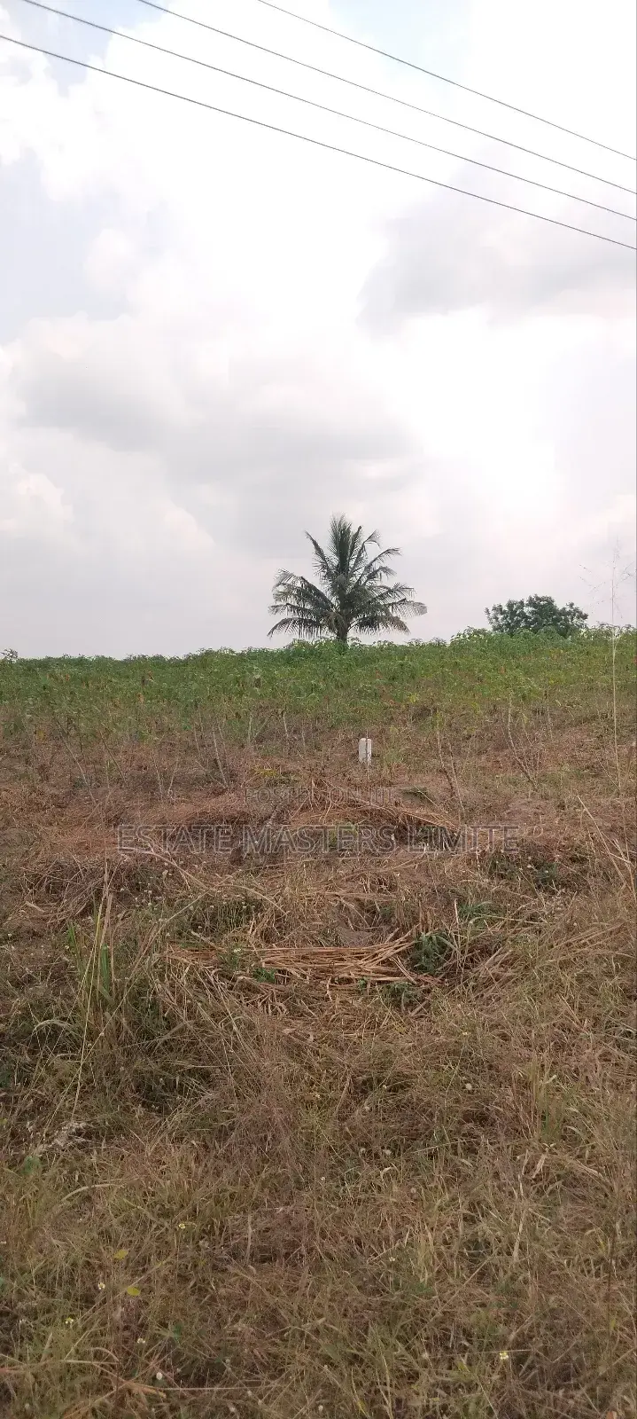 Acres of Asaase Available for Sale at Gomoa East Dominase in Gomoa East