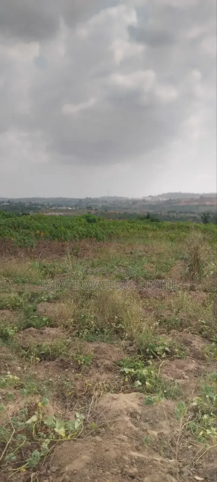 Asaase Aba 35 Plot of Land for Sale in Gomoa East