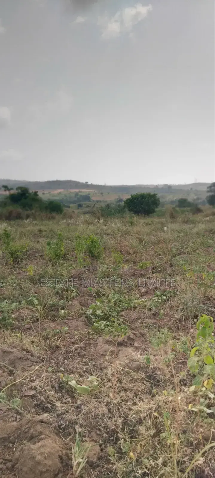 Asaase Aba 35 Plot of Land for Sale in Gomoa East