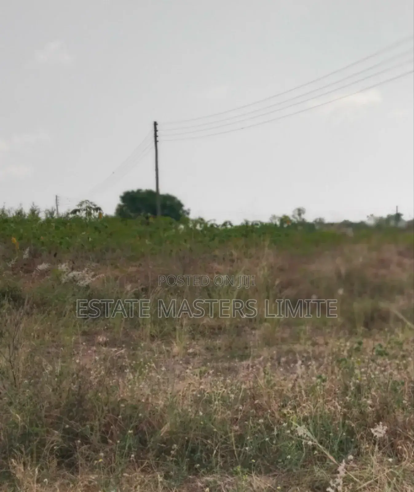 Your Dream Land Await Take a First to Buy a Land in Gomoa East