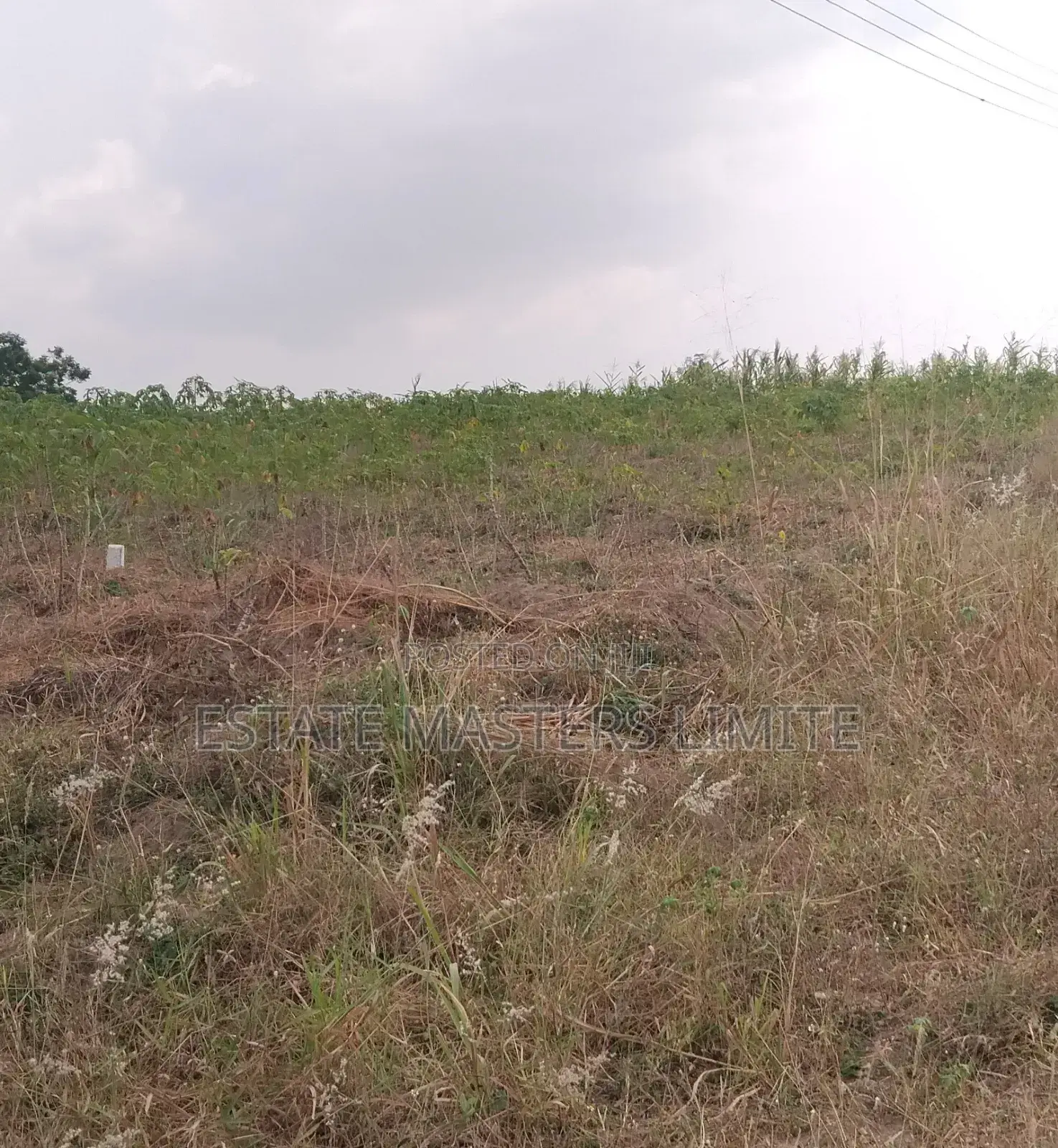 Your Dream Land Await Take a First to Buy a Land in Gomoa East