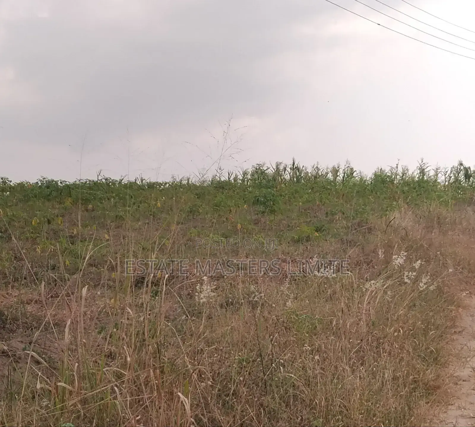 Make Your Mark :Buy Land Now in Gomoa East