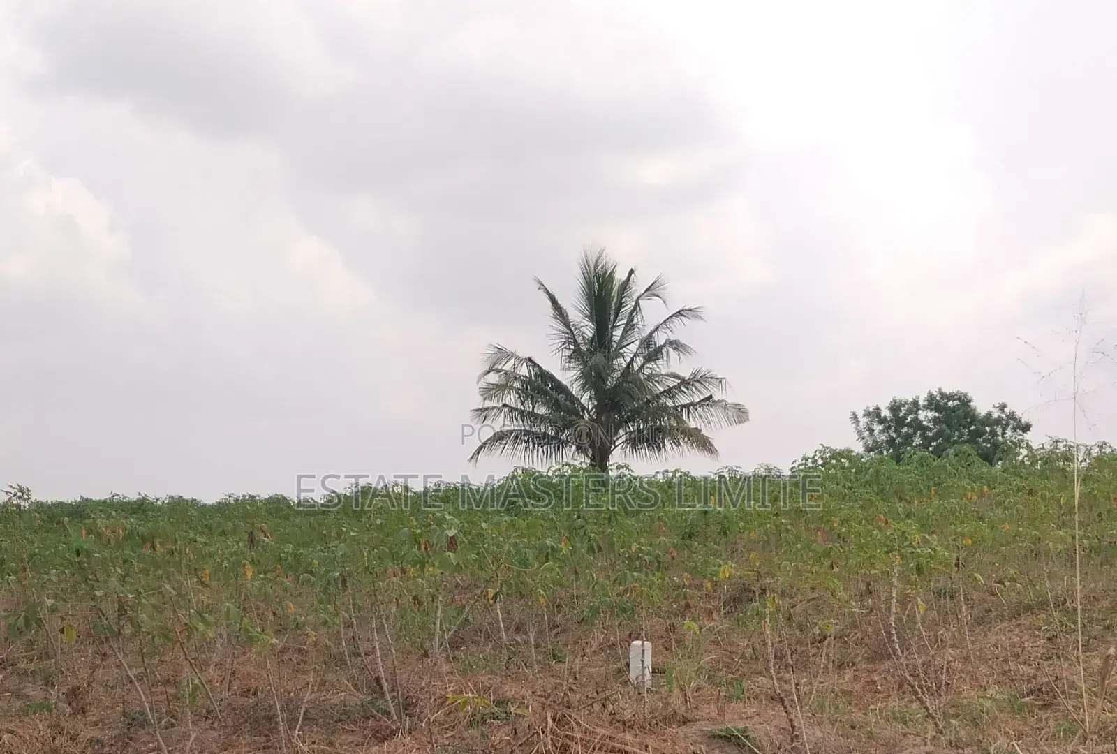 Make Your Mark :Buy Land Now in Gomoa East