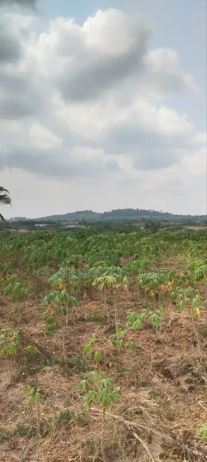 Your Dream Land Await: Buy Now in Gomoa East