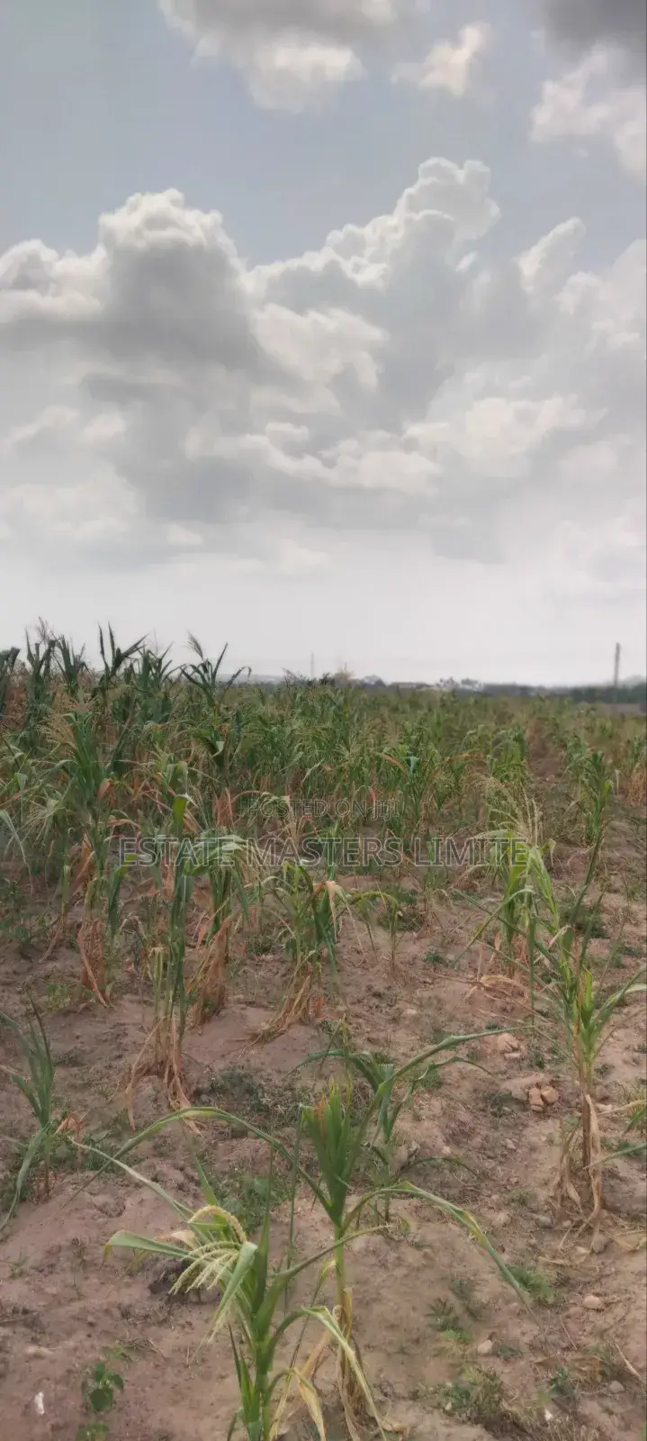 Your Dream Land Await: Buy Now in Gomoa East