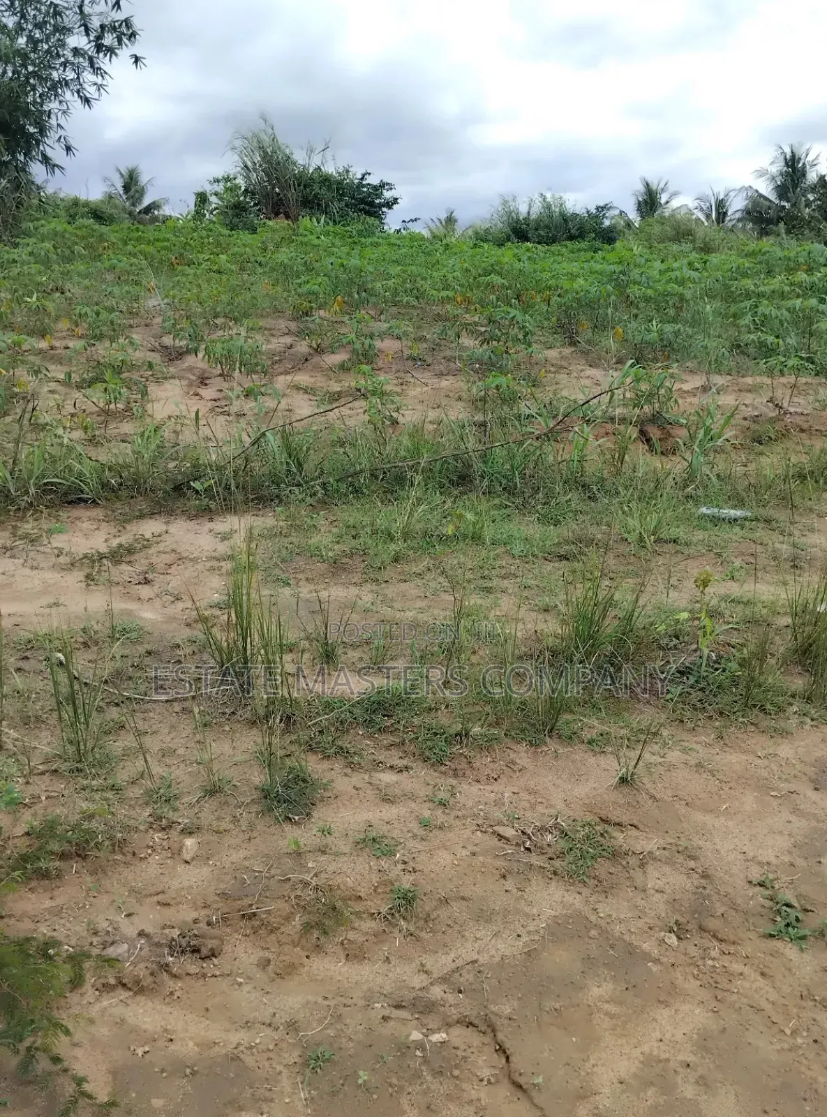 Get a Land That Will Revitalised Your Building Plans in Awutu Senya East Municipal