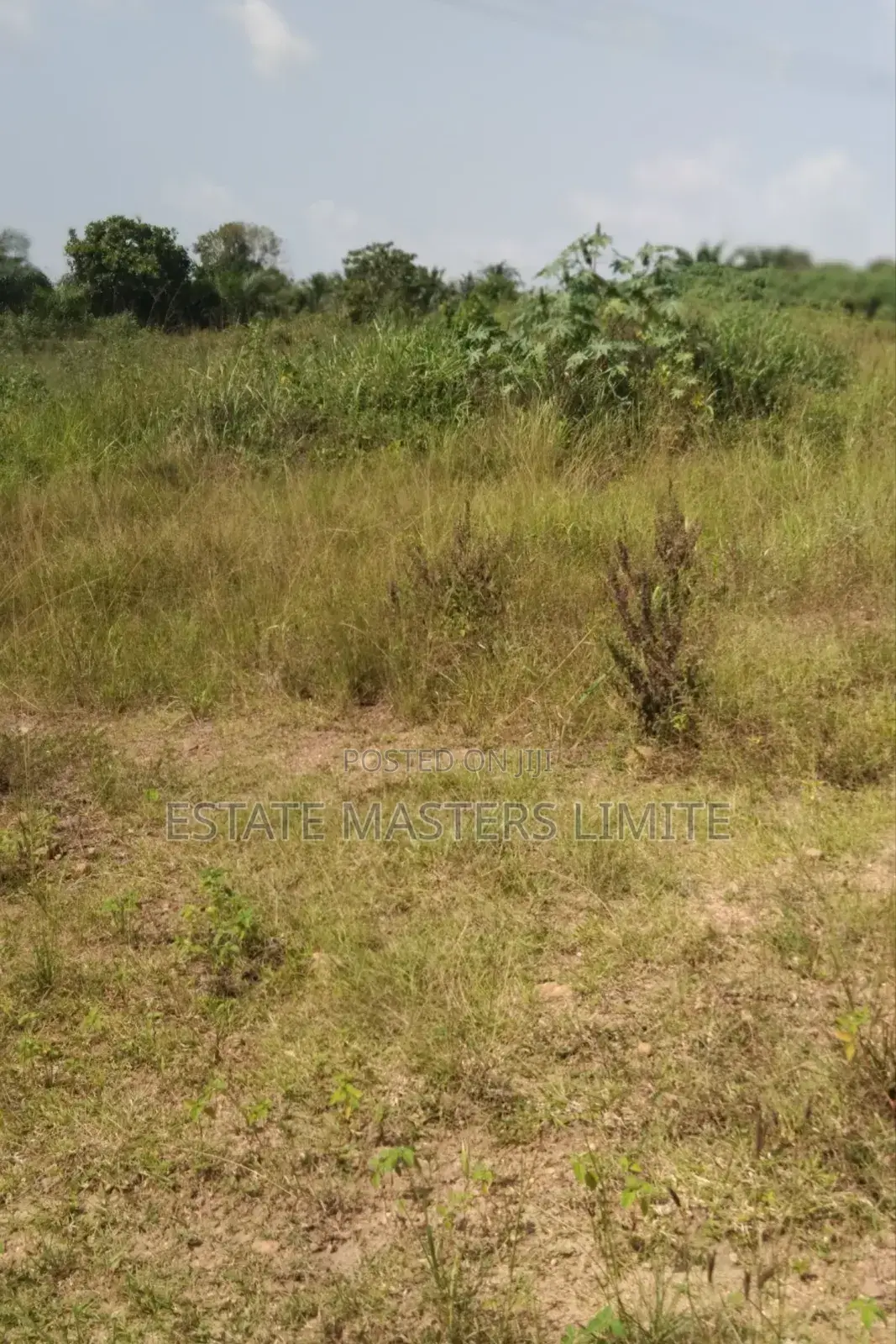 No Shaken Come Buy a Land From Estate Masters in Gomoa East