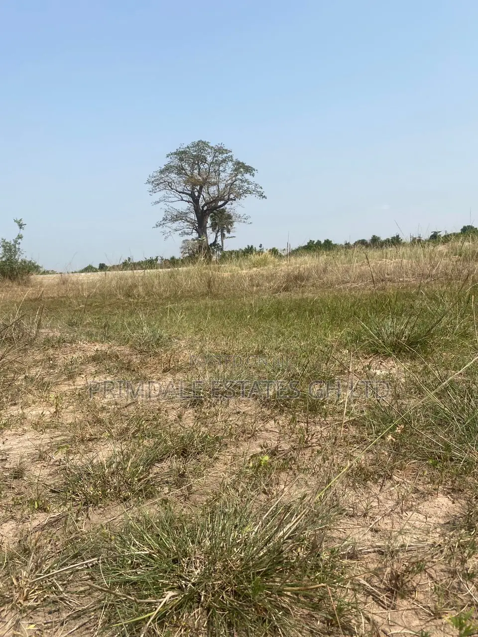 Afienya Registered Lands+ On+ Quick+ Sale# in Sakumono
