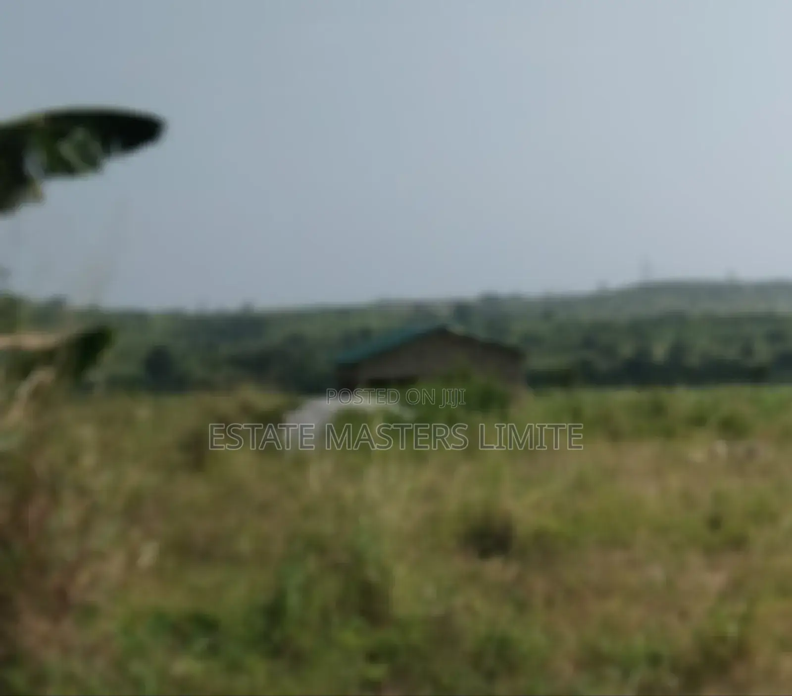 Discovere the Magic of Real Estate, With Estate Masters in Gomoa East