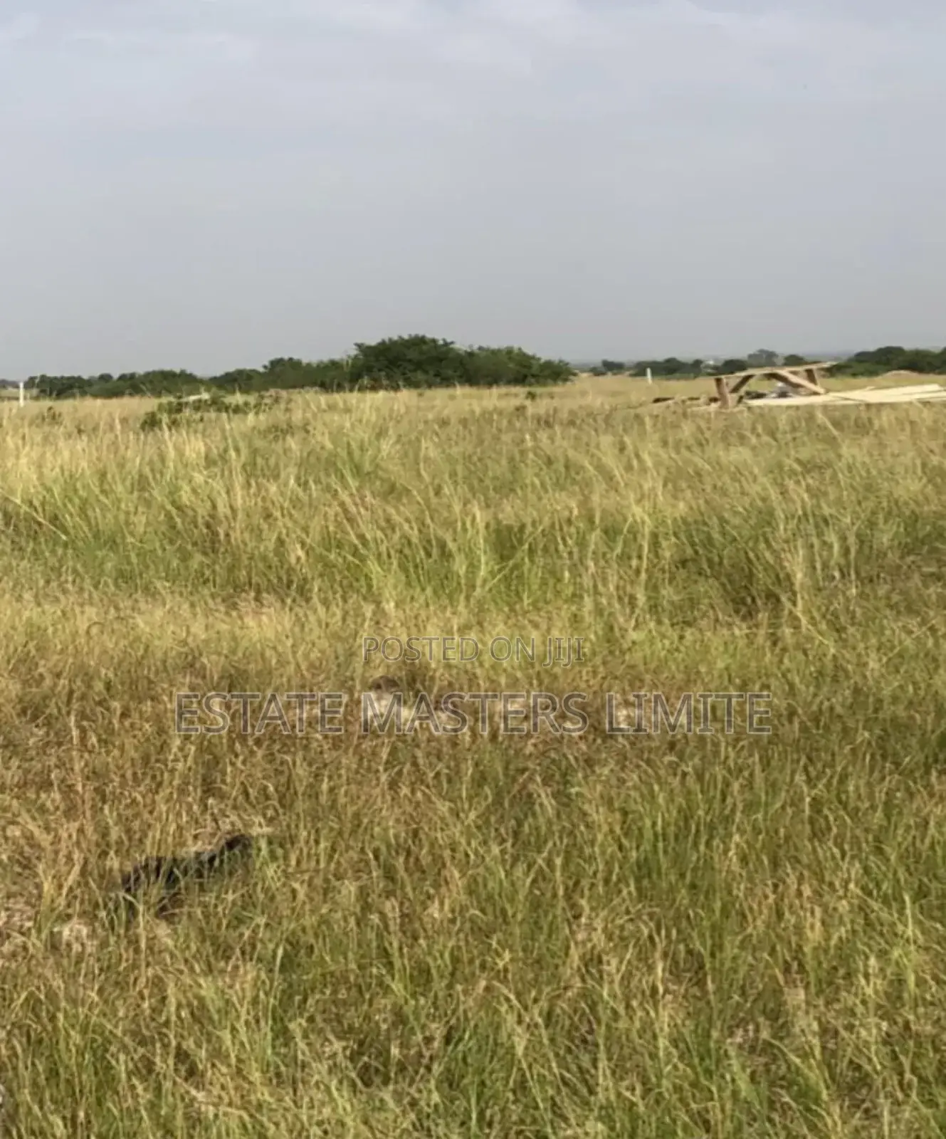 Building Future Through Real Estate, Buy Lands From Us Now in Ningo-Prampram