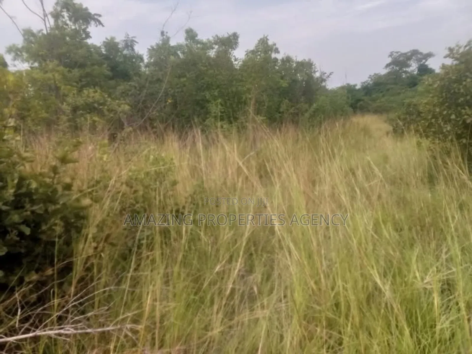 Land Available For Sale At in Spintex