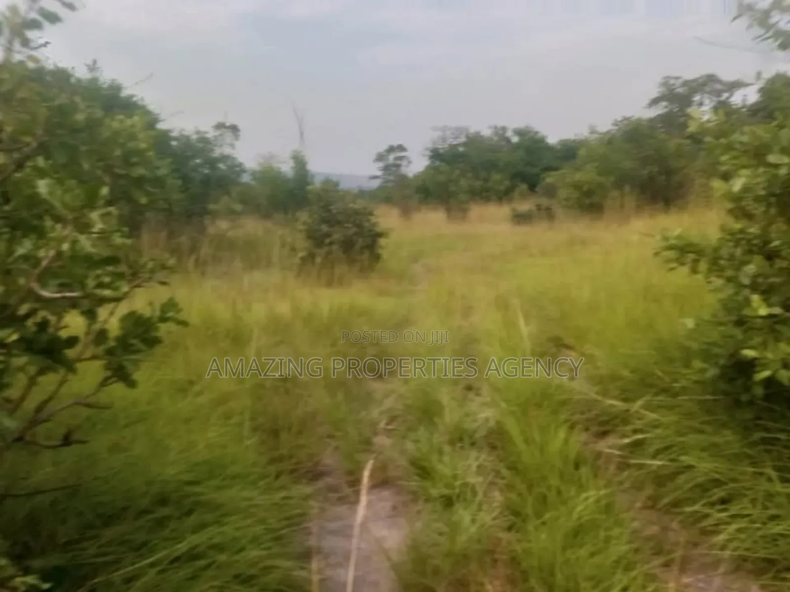 Land Available For Sale At in Spintex