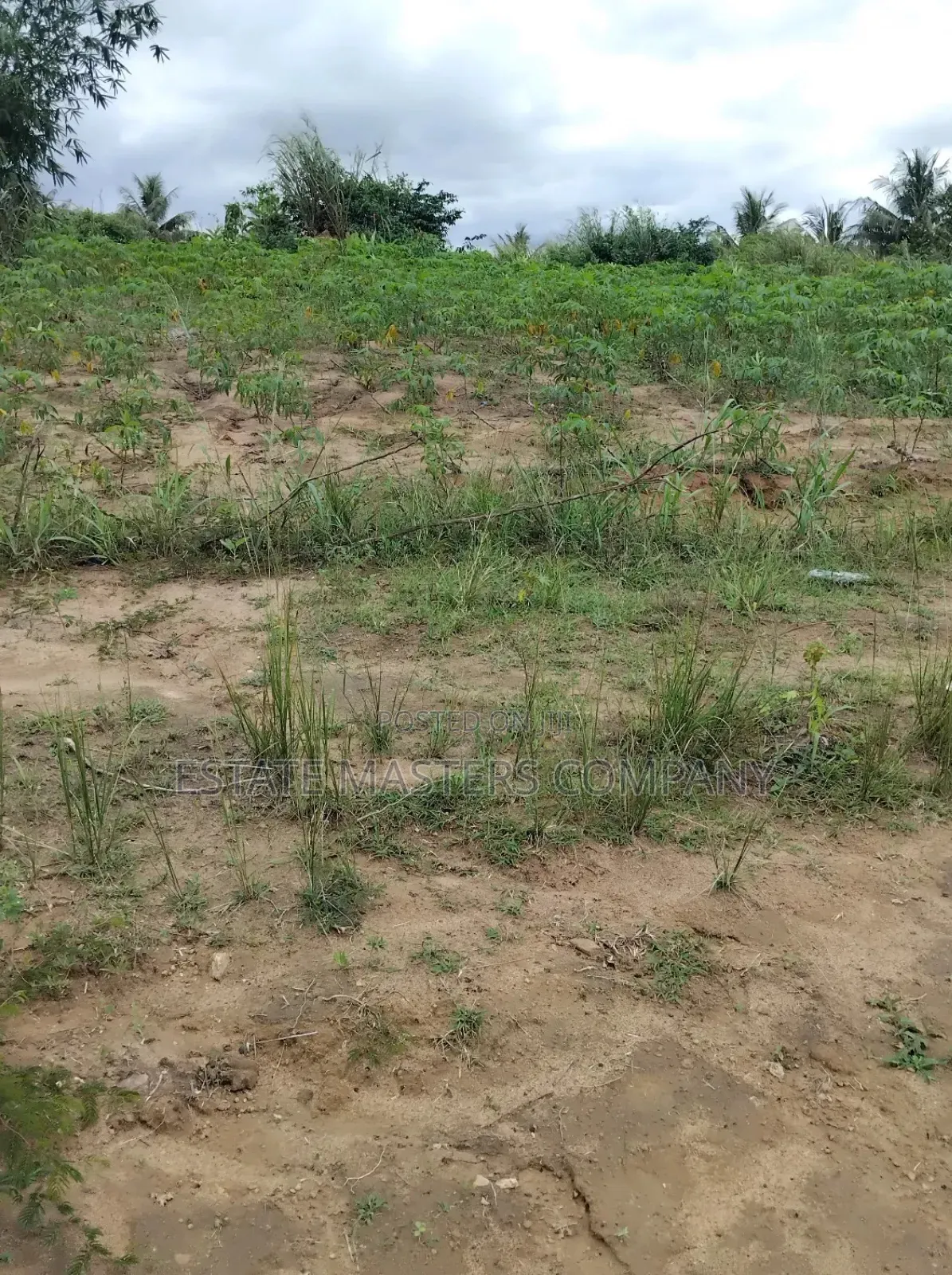 Get Land in a Welcoming and Gated Community for Your Project in Awutu Senya East Municipal
