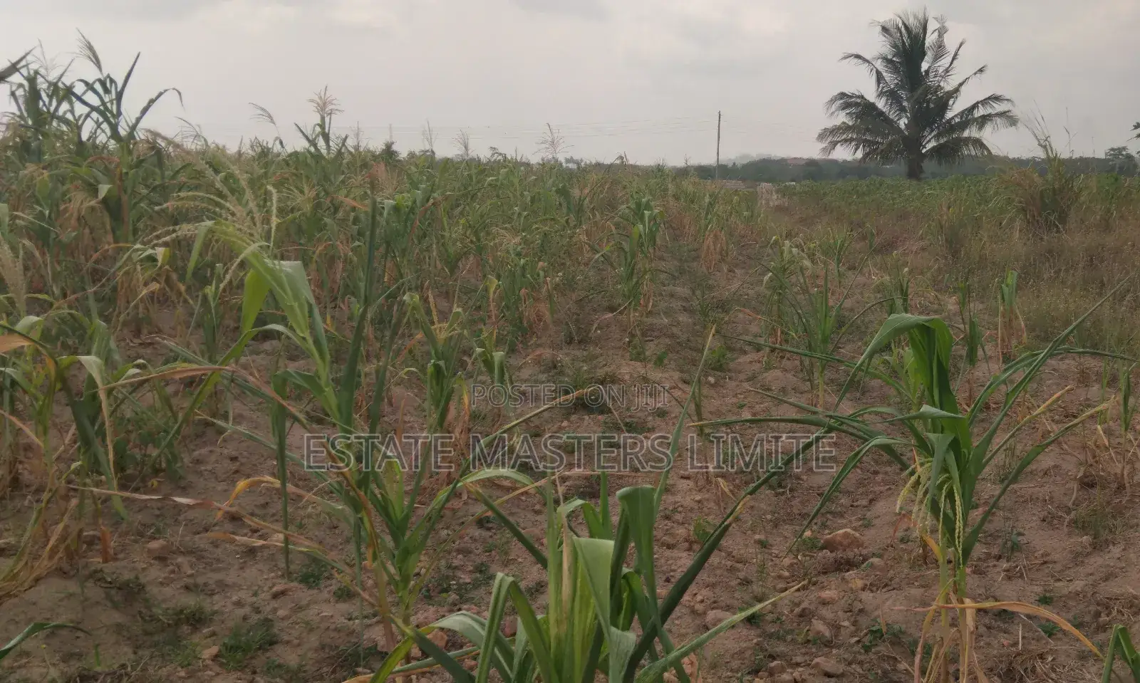 Dreams Meet Reality Here With Estate Masters Limited in Gomoa East