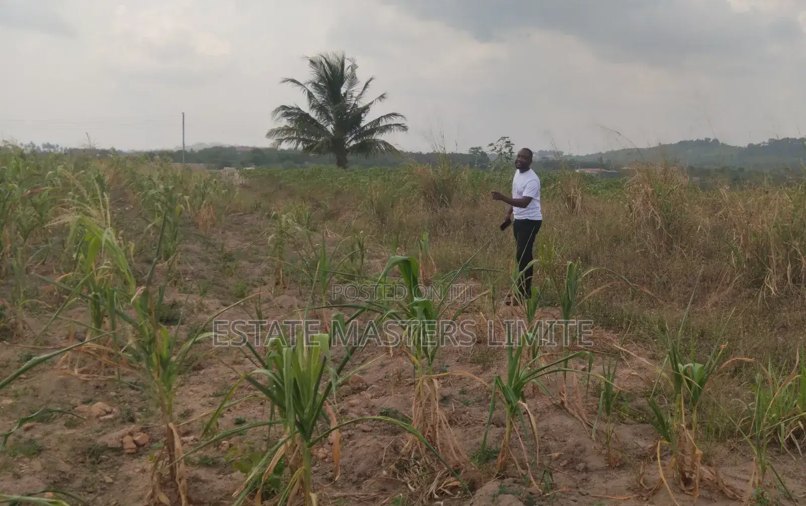 Well Demacated Serviced Plots of Lands Available for Sale in Gomoa East