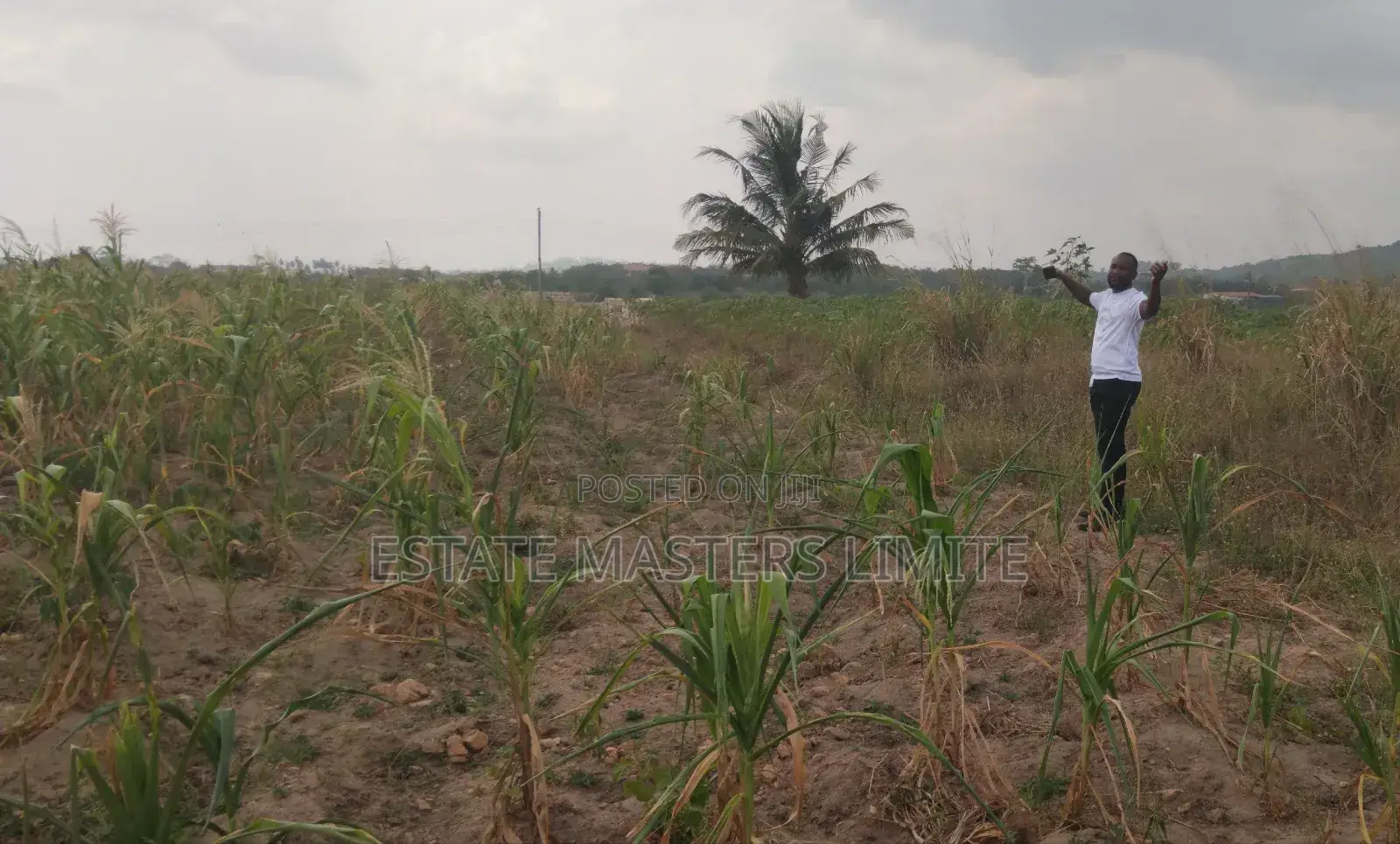Well Demacated Serviced Plots of Lands Available for Sale in Gomoa East