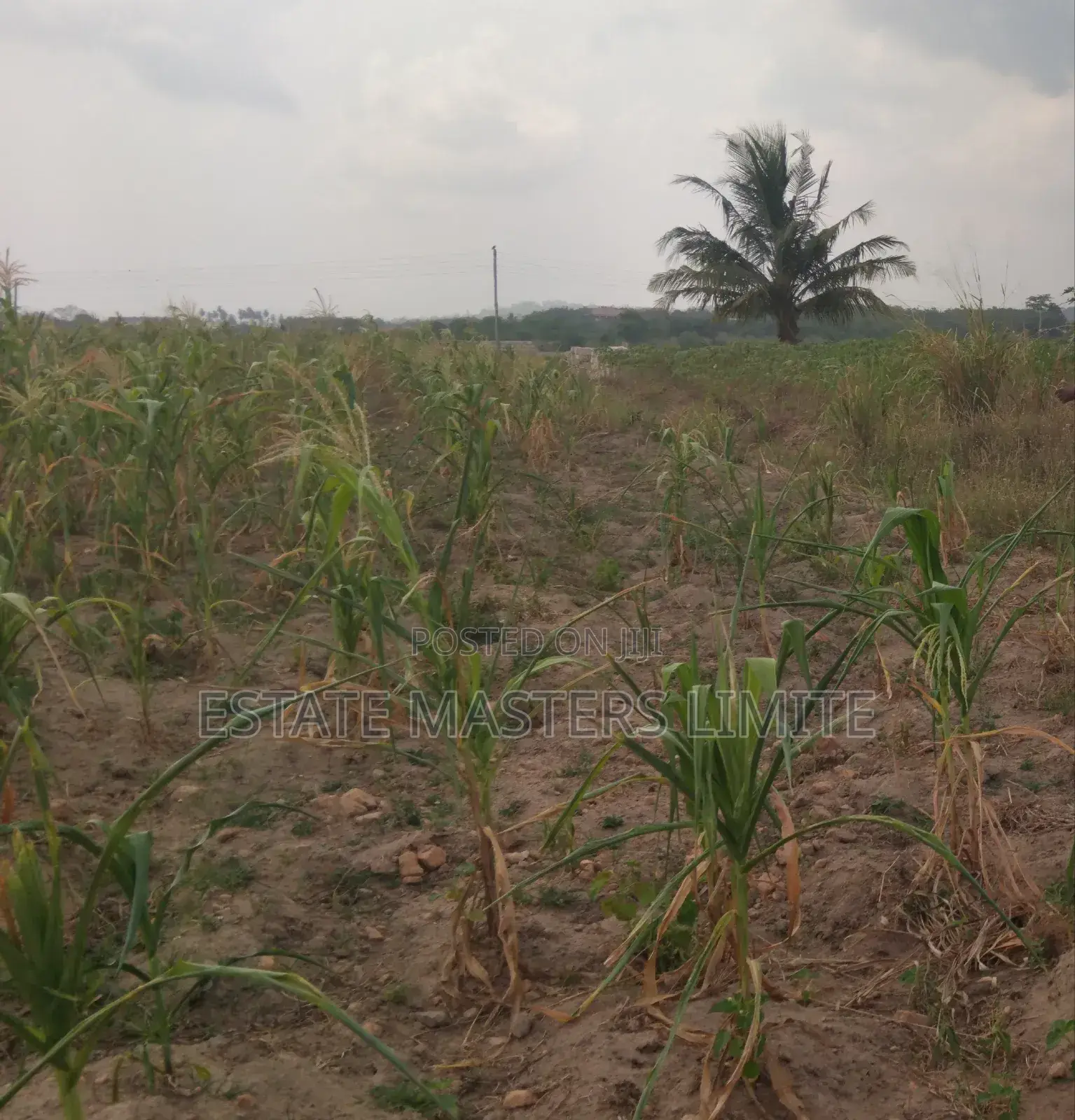 Decade of Trust Estate Masters Buy Your Land From Us Now in Gomoa East