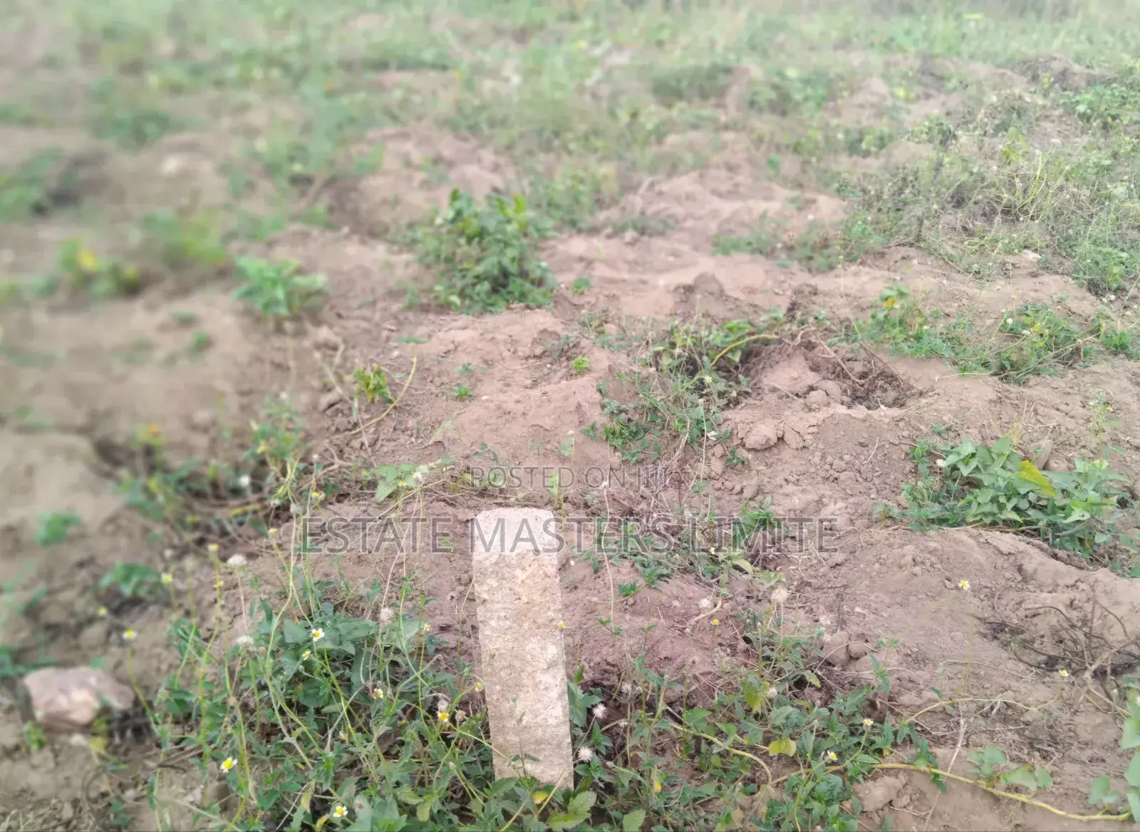 Decade of Trust Estate Masters Buy Your Land From Us Now in Gomoa East