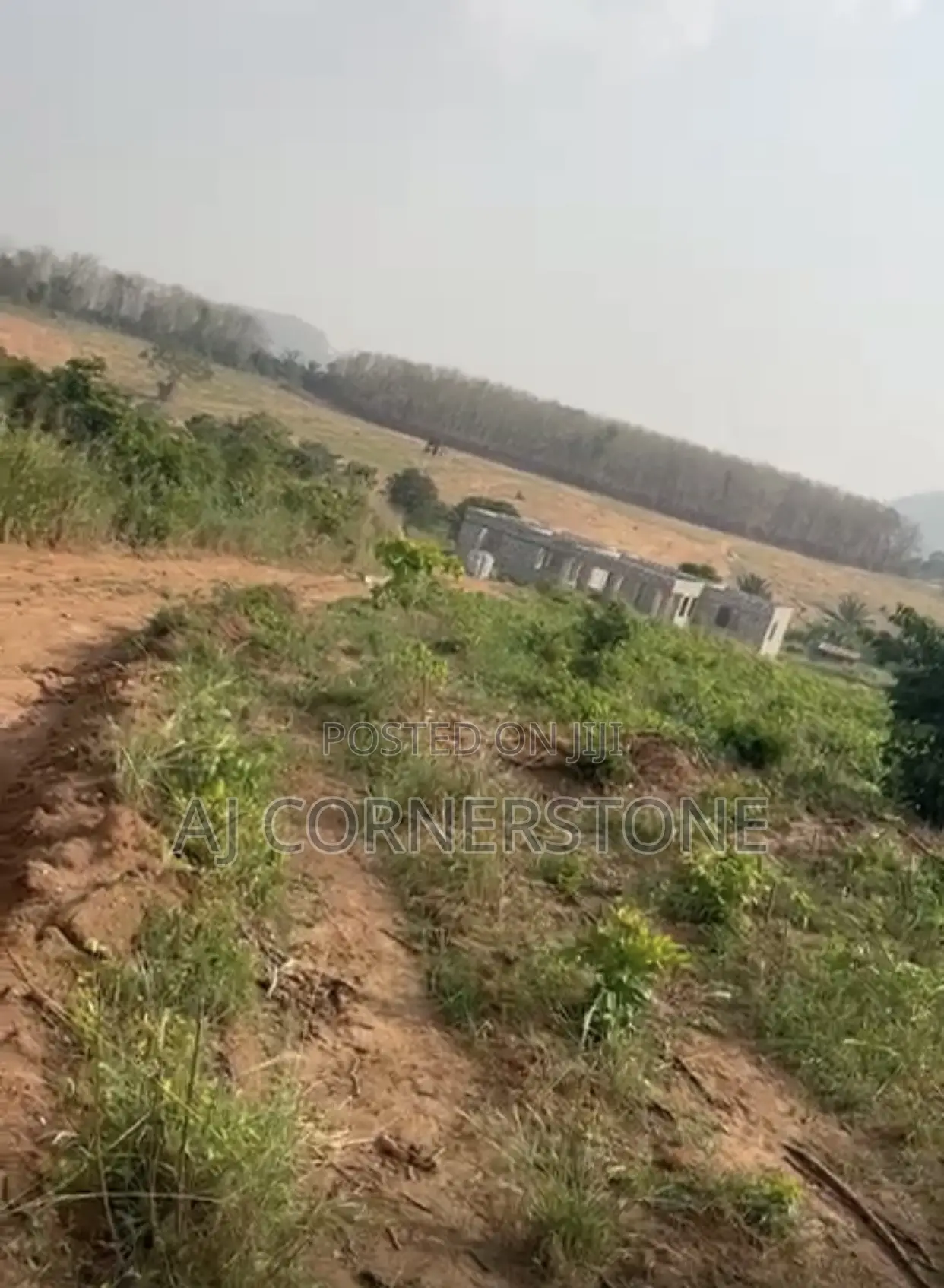Plot of Land for Sale at Adu Agyiri Before Teacher Manetey in Ayensuano