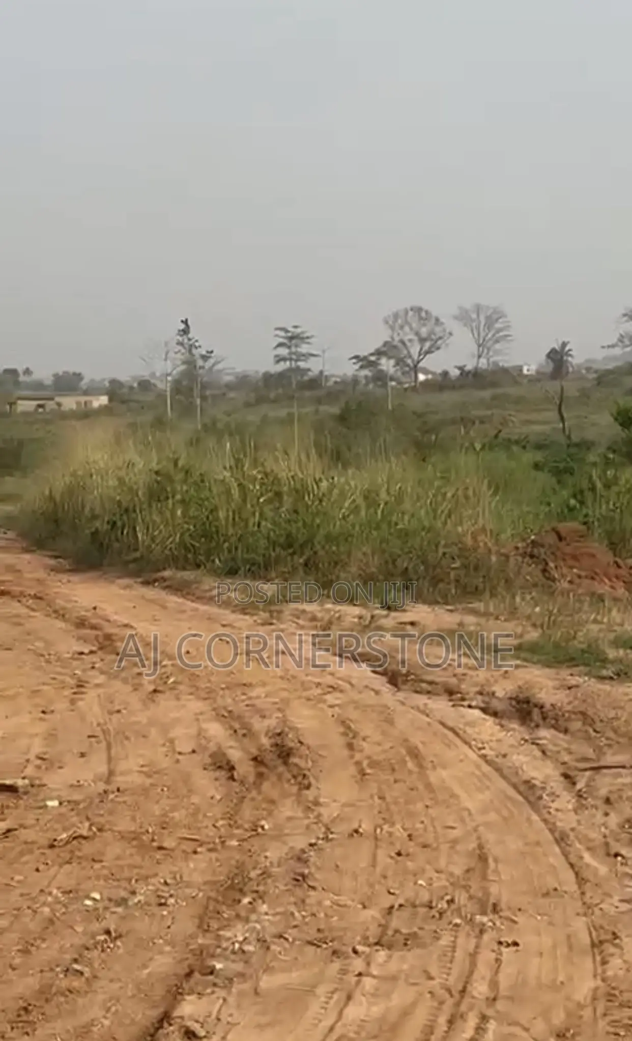 Plot of Land for Sale at Adu Agyiri Before Teacher Manetey in Ayensuano