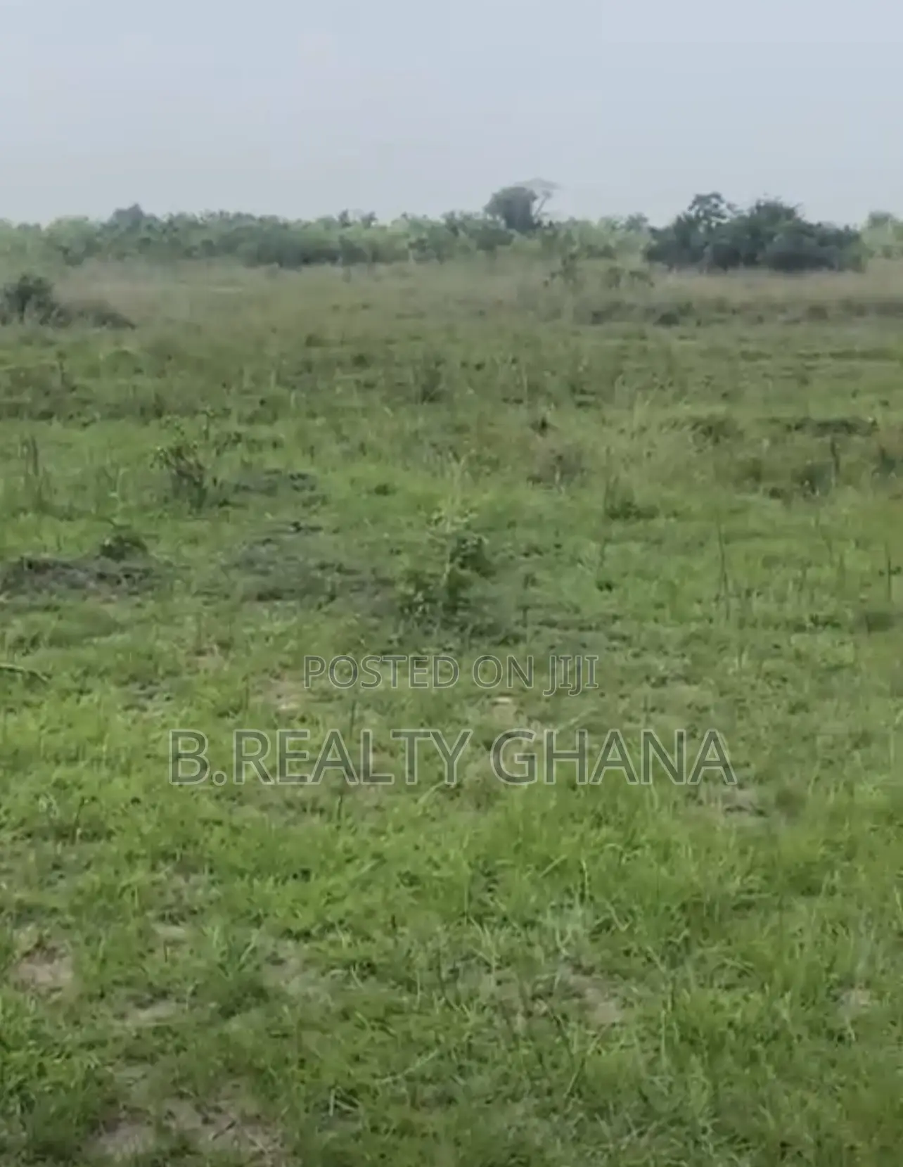 Titled Plots of Land at Ayikuma for Sale in Dodowa