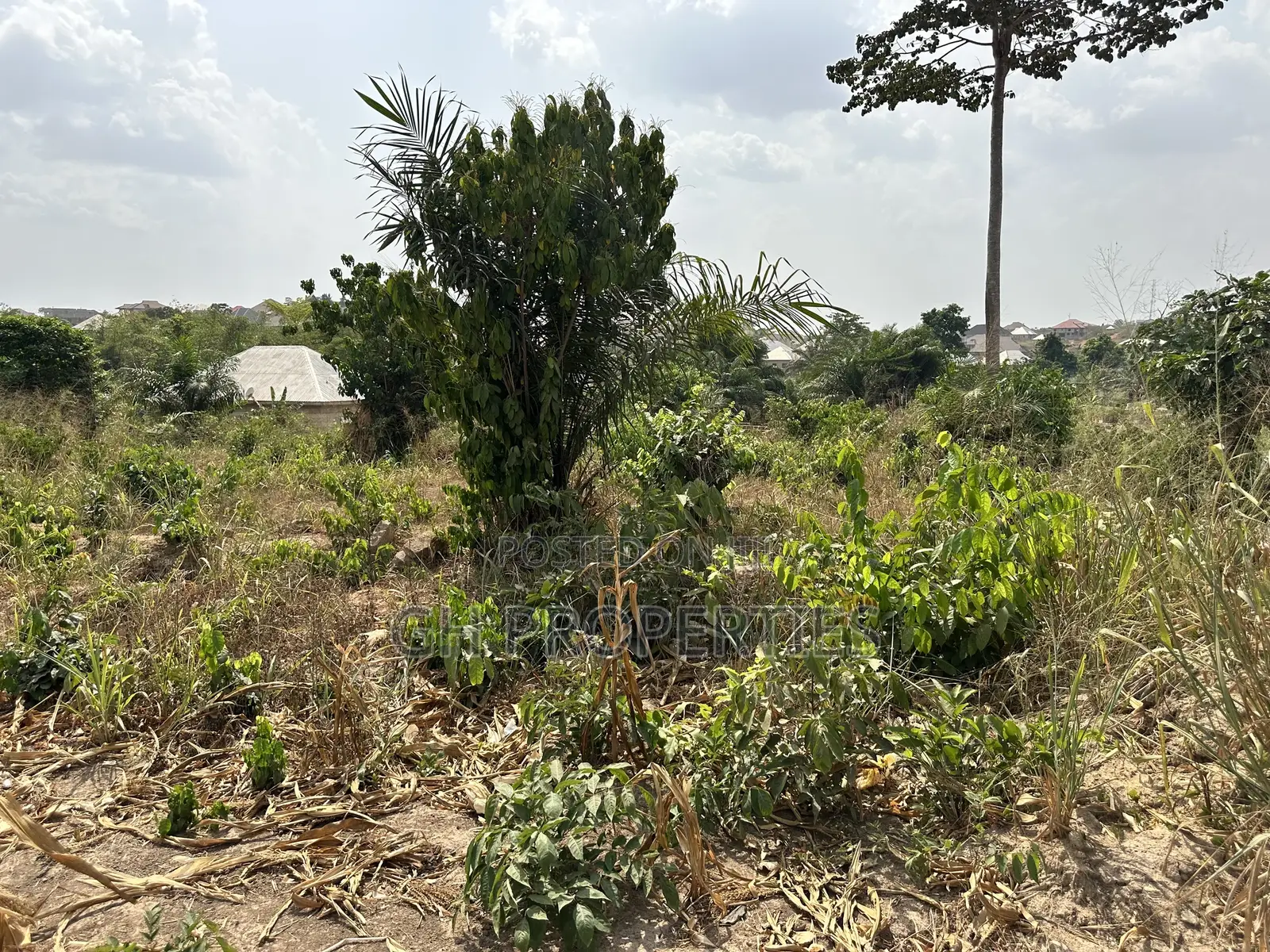 One Plot for Sale at Trede,Kankyre. in Kumasi Metropolitan