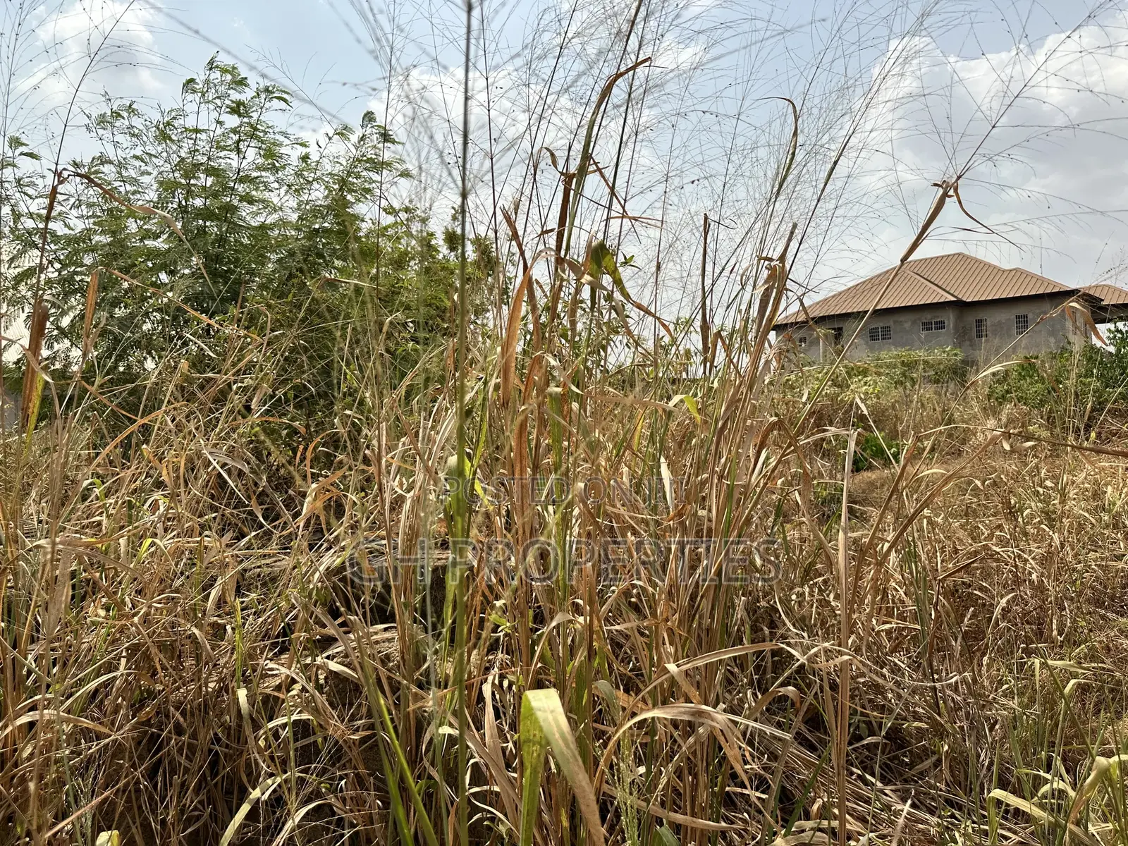 Full One Plot for Sale at Konkoli . in Kumasi Metropolitan