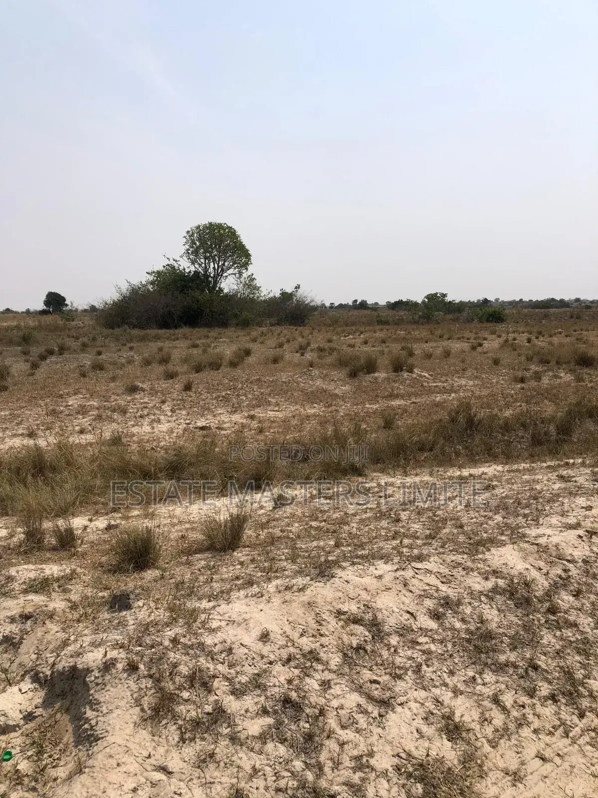 New Year Asaase Available for Sale at Tsopoli in Ningo-Prampram