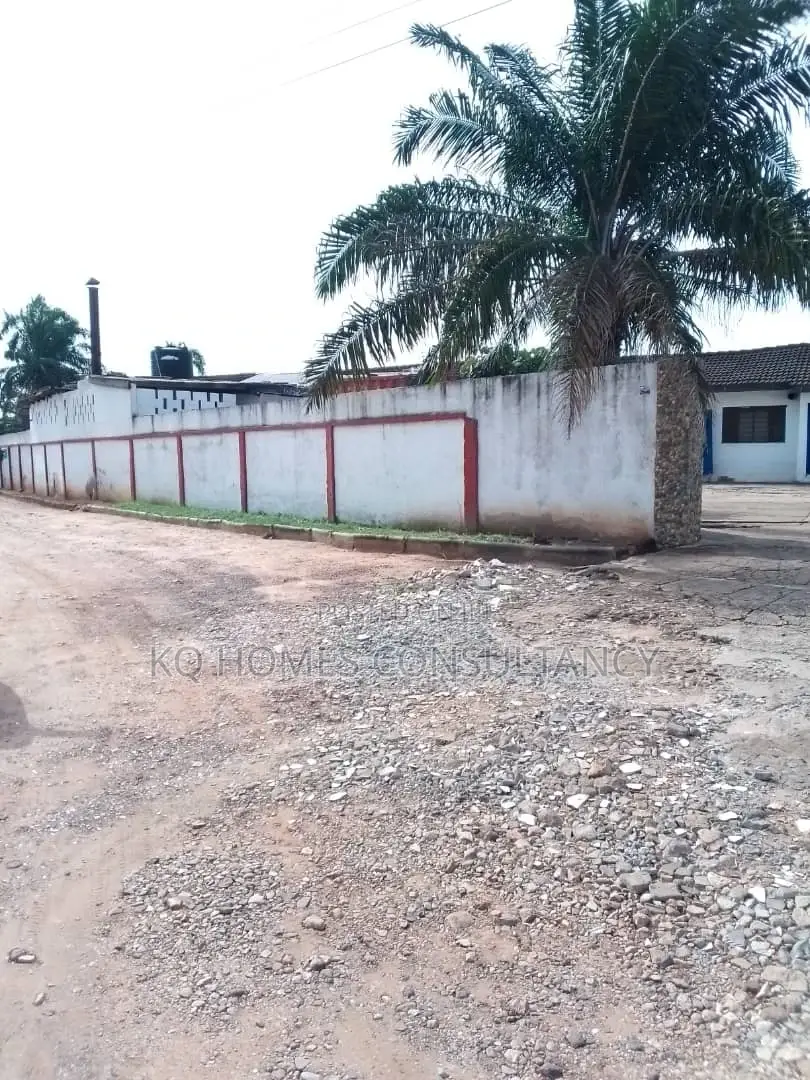 SIX (6) Plots of Land for Sale at Tesano in Tesano
