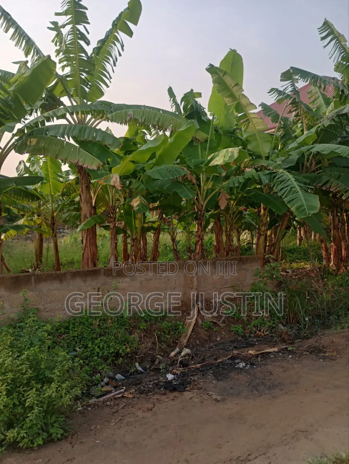 Plot of Land at Accra Tuba for Sale 100 by 70 in Toll Booth