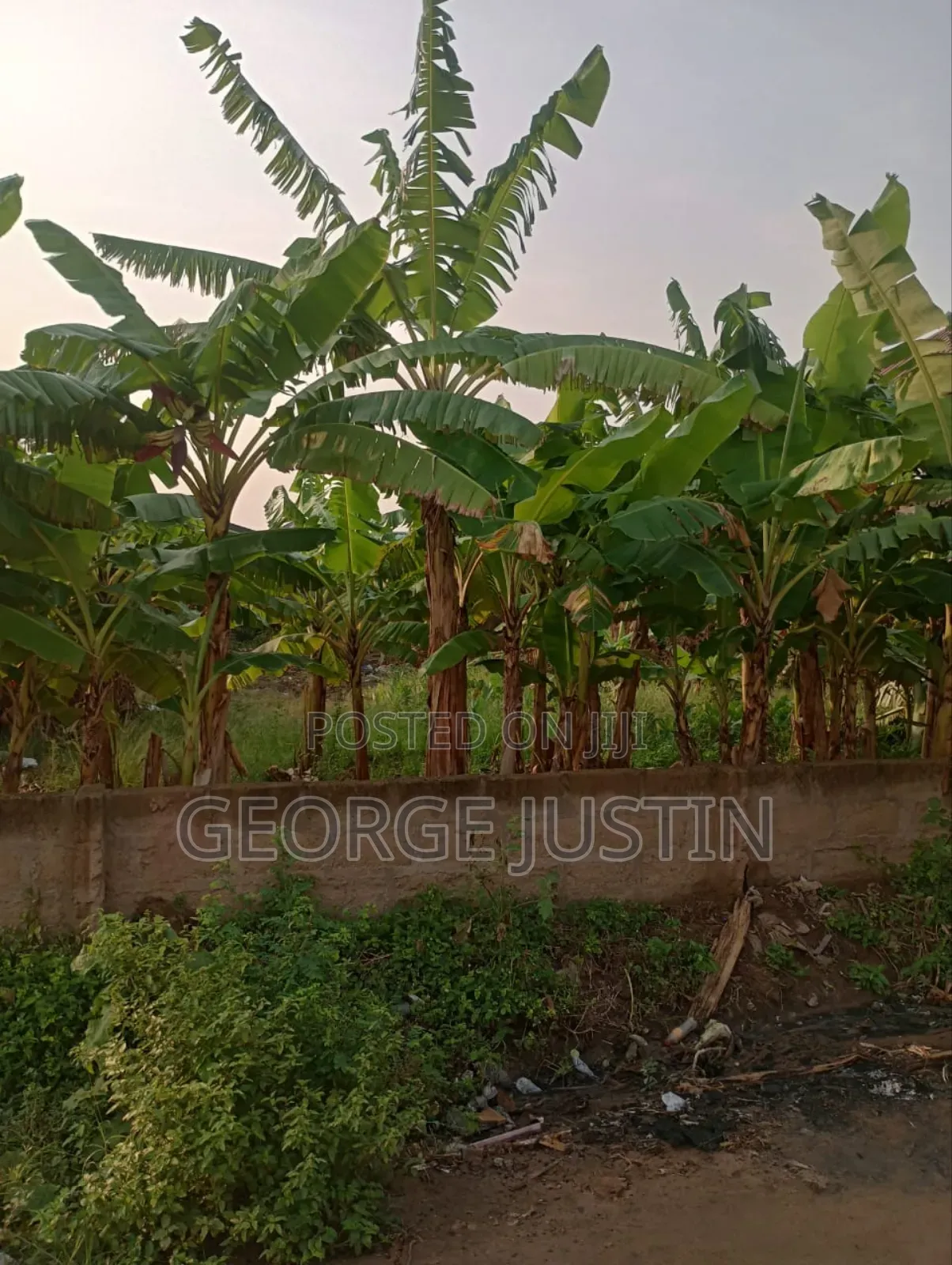 Plot of Land at Accra Tuba for Sale 100 by 70 in Toll Booth