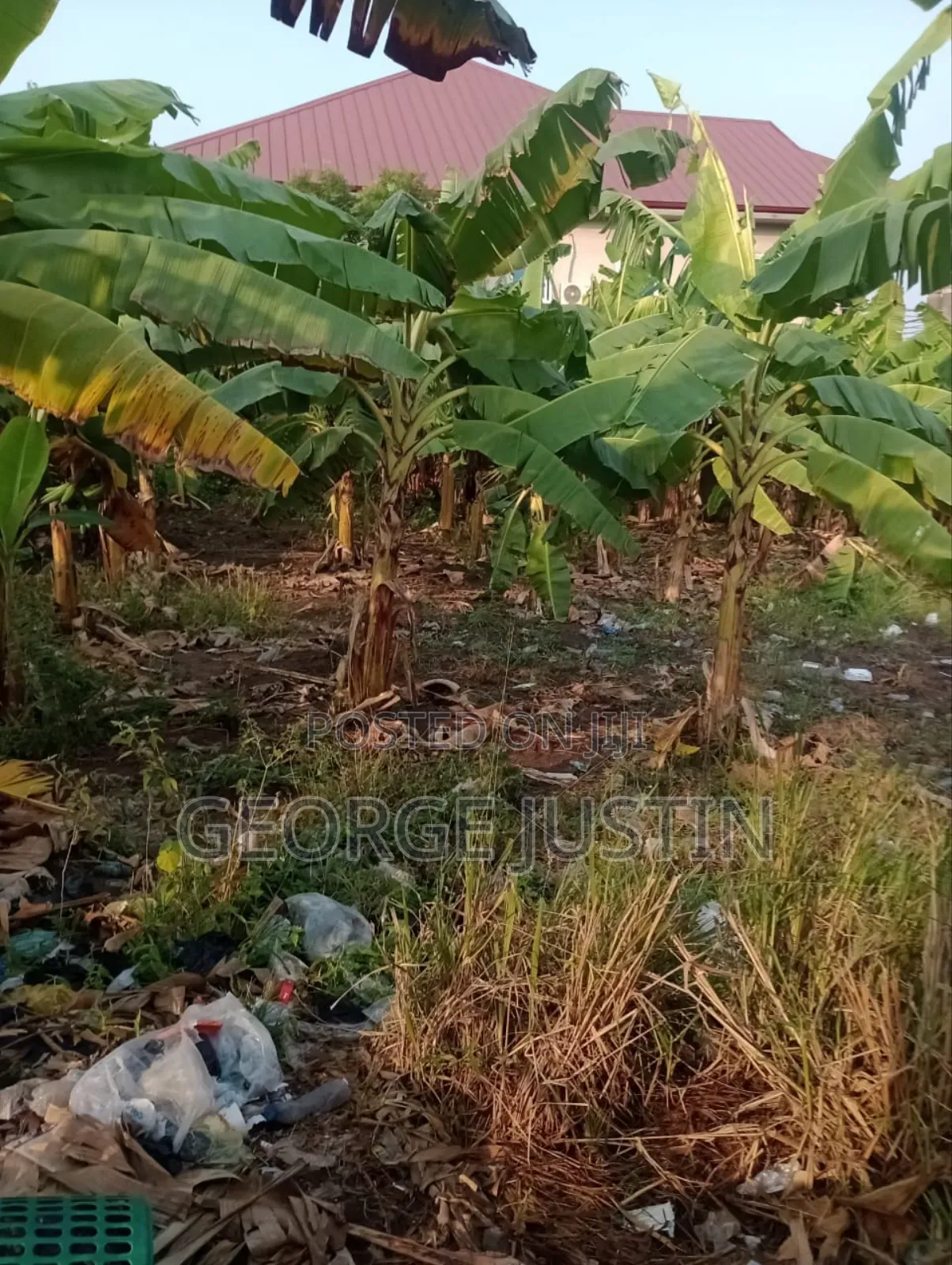Plot of Land at Accra Tuba for Sale 100 by 70 in Toll Booth