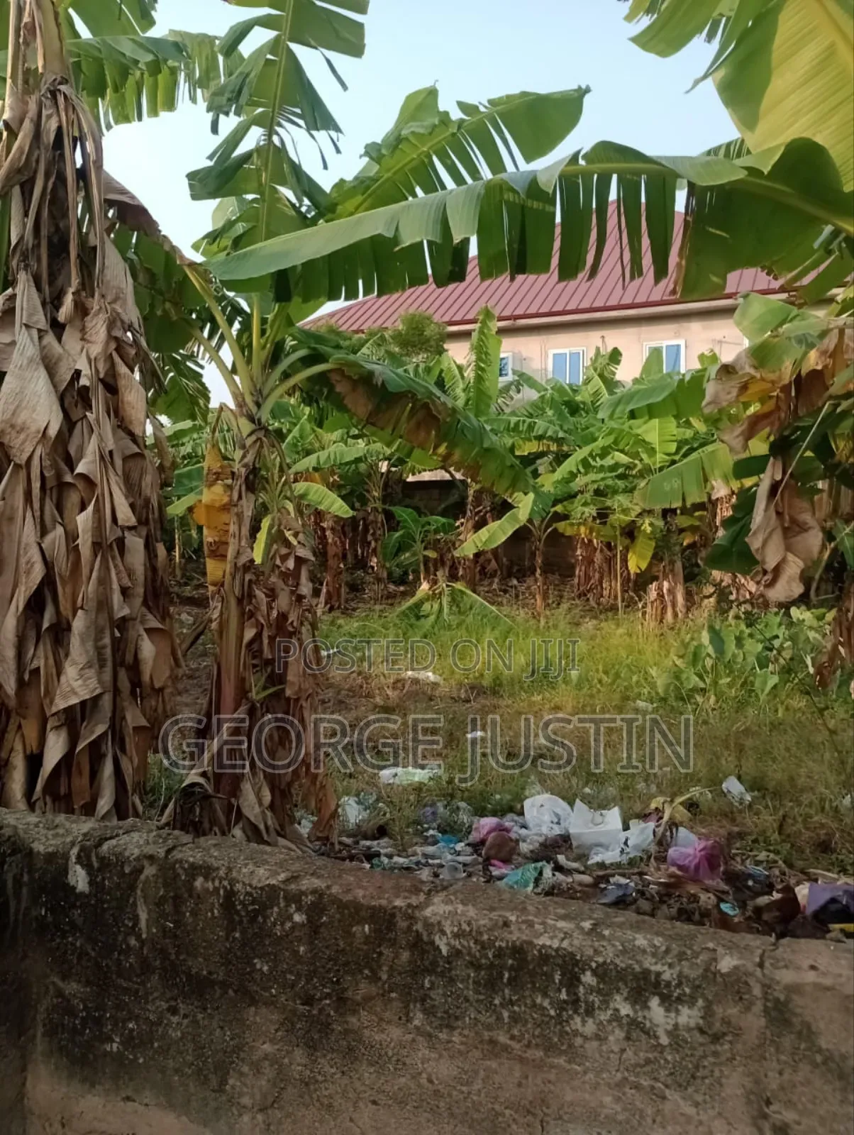 Plot of Land at Accra Tuba for Sale 100 by 70 in Toll Booth